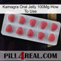 Kamagra Oral Jelly 100Mg How To Use 18